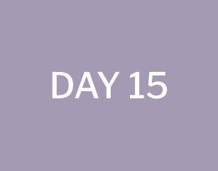 day 15