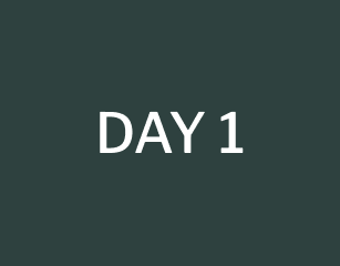 day 1