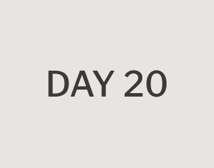day 20