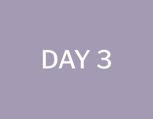 day 3